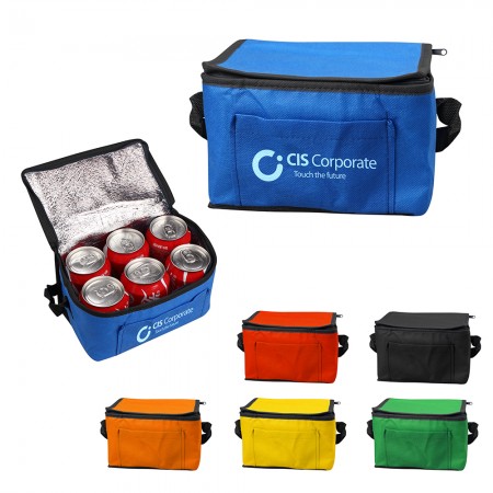Insulated 6-pack Non-Woven Cooler Bag